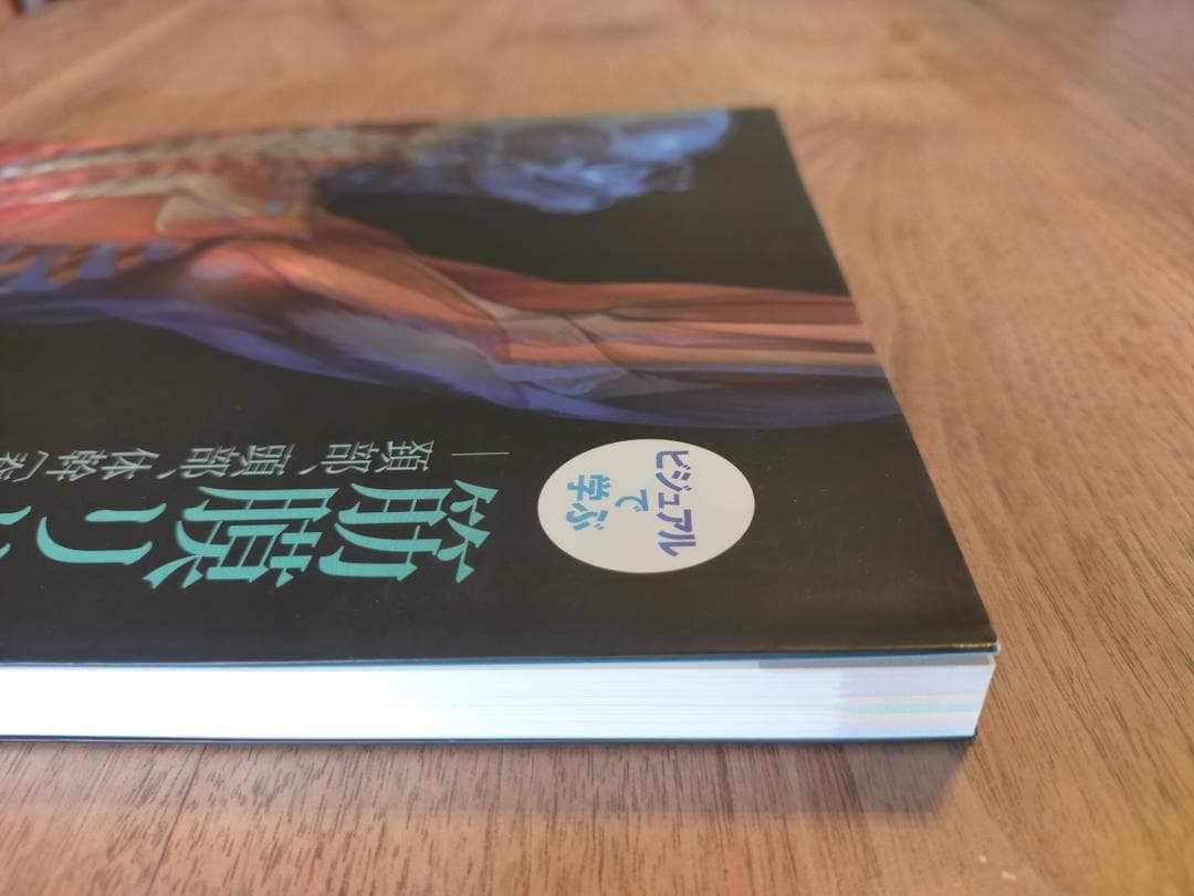 美品　ビジュアルで学ぶ 筋膜リリーステクニックVol.1+Vol.2　二冊
