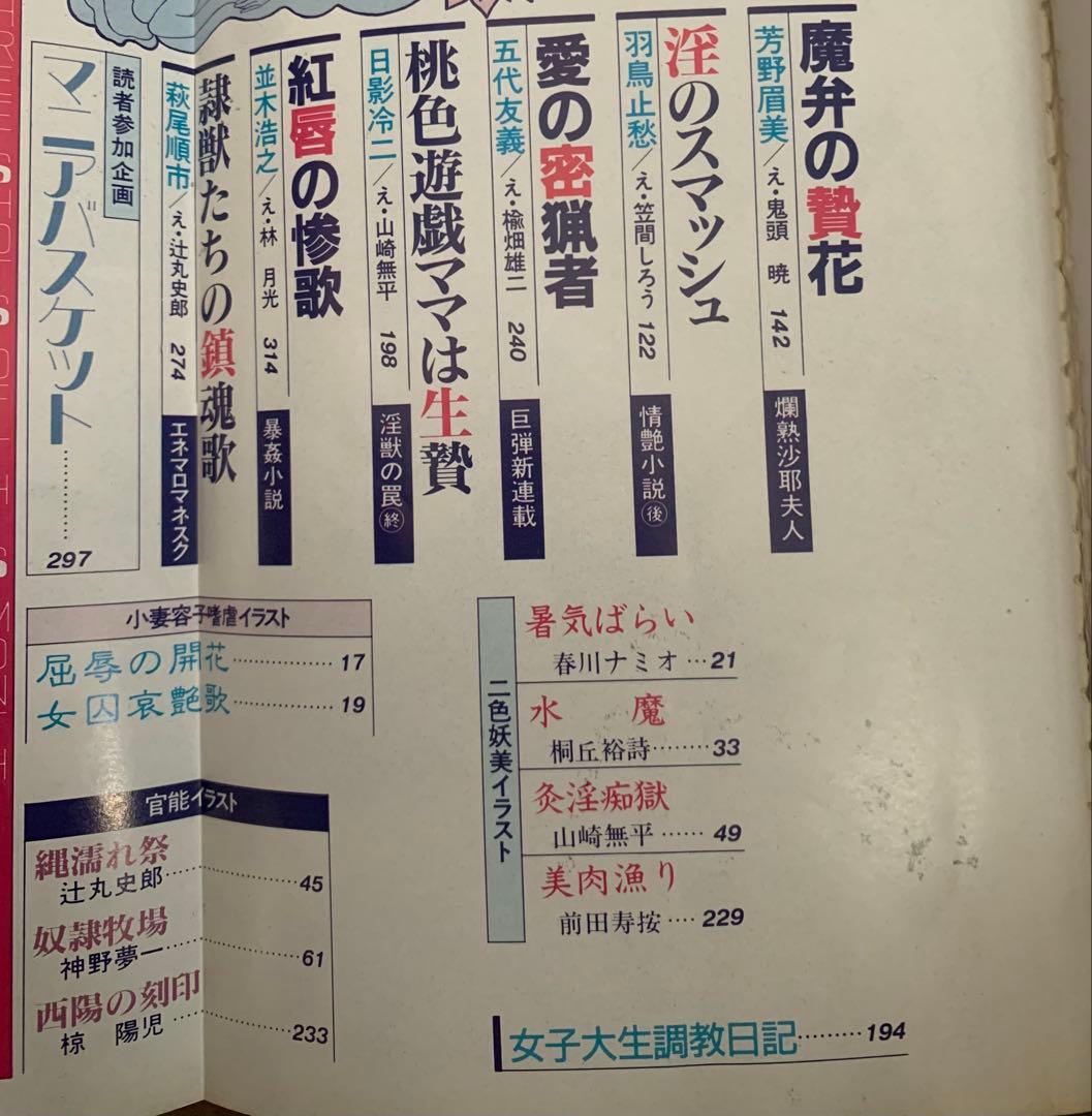 SM秘小説88.6 90.9セット
