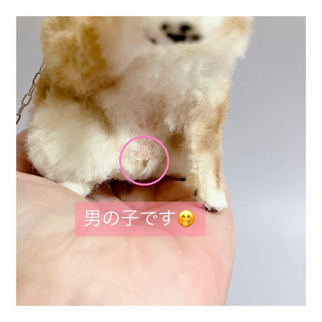 送料無料｜羊毛フェルト柴犬｜ブライス｜カスタムブライス｜ドールハウス｜柴犬｜豆柴