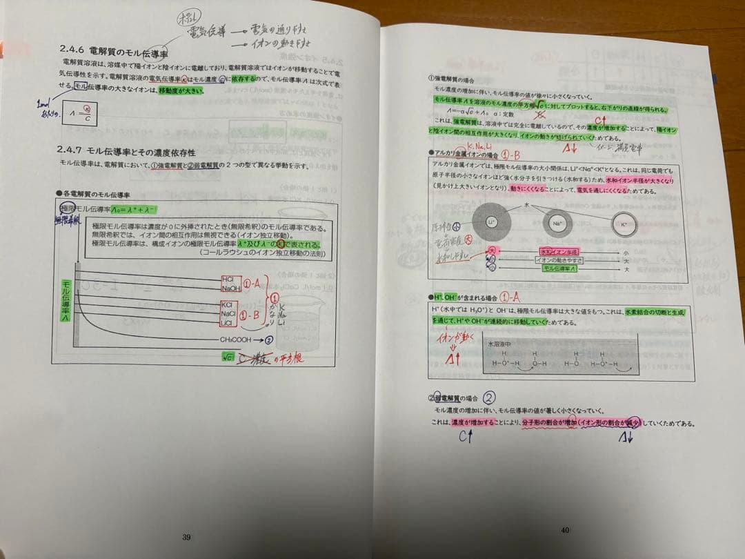 第110回 薬剤師国家試験 薬ゼミ半年コーステキスト弱点克服問題集(白問)セット