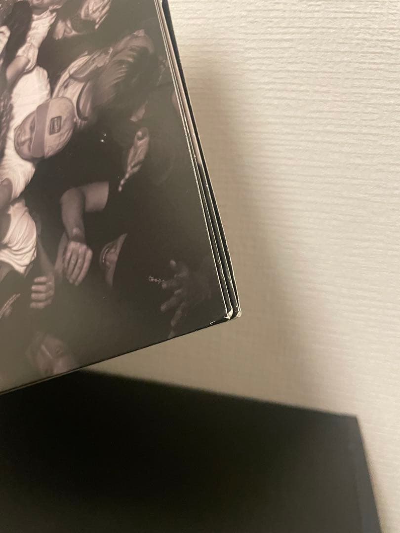 踊ってばかりの国 paradise review LP レコード