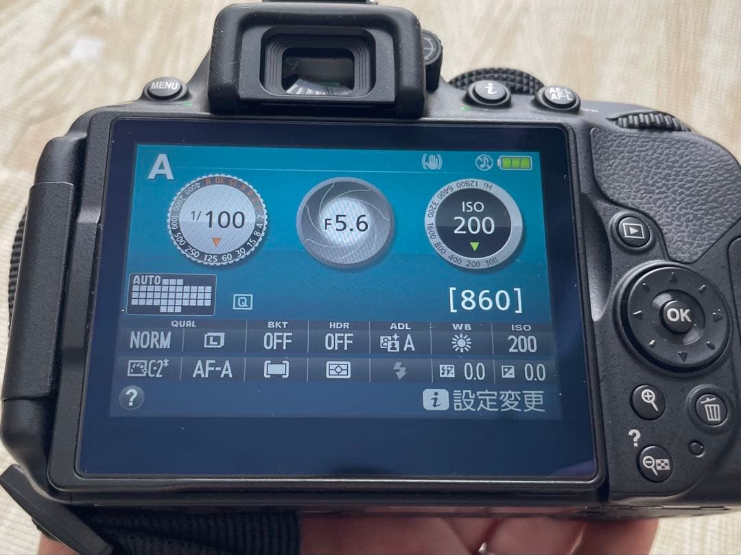 【低ショット約1800】Nikon D5300 Wレンズ18-55/55-200