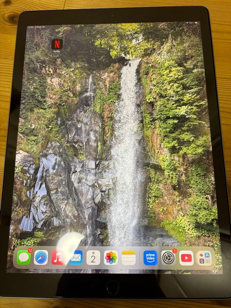 【美品/512GB】iPad Pro 12.9 第2世代 Wi-Fi シルバー