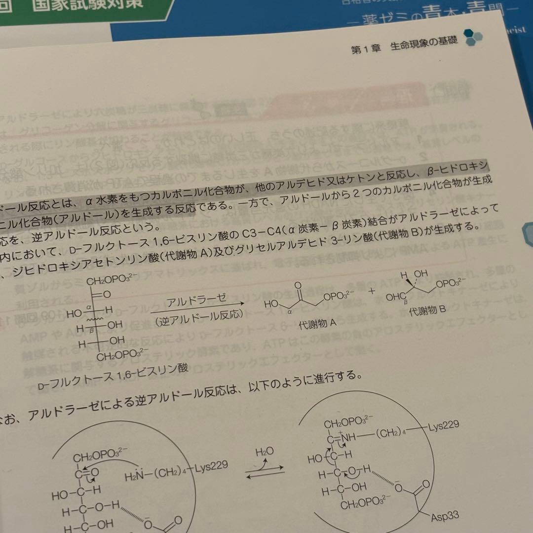 第111回薬剤師国家試験対策参考書 改定第15版 青問 9冊セット