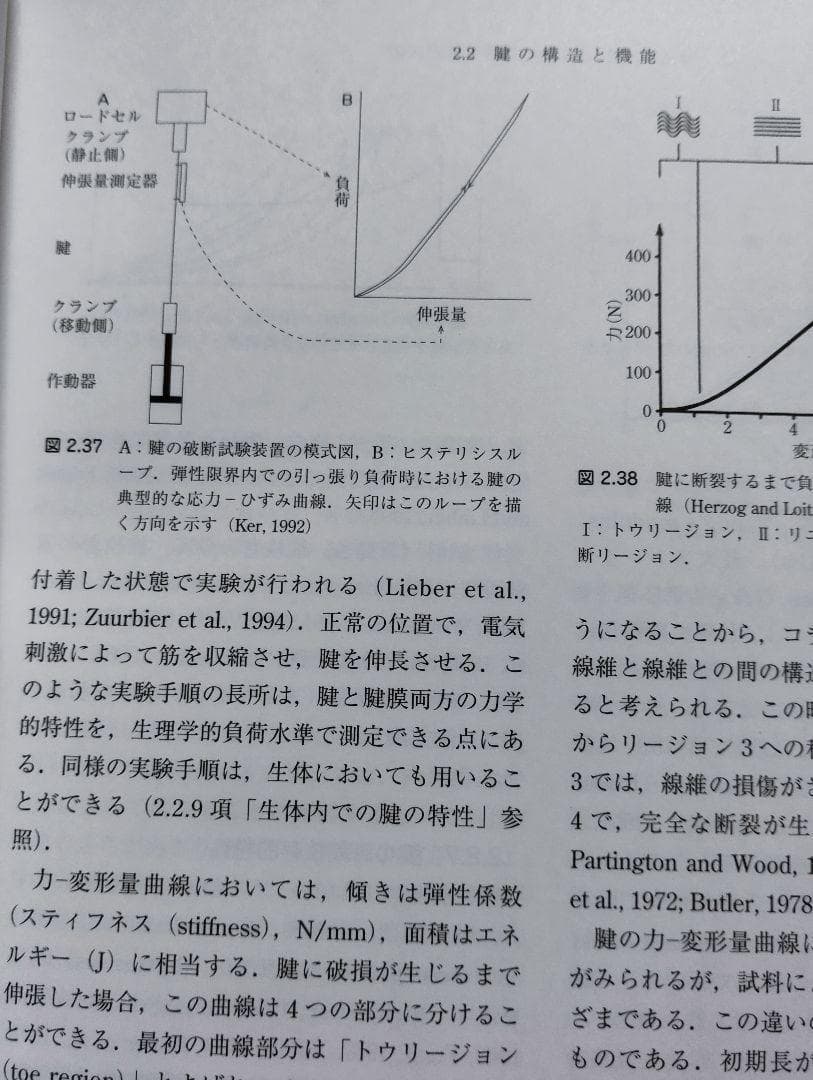 筋の科学事典: 構造・機能・運動 大型本