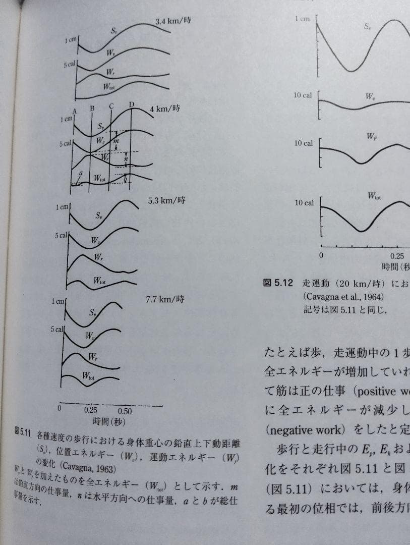 筋の科学事典: 構造・機能・運動 大型本