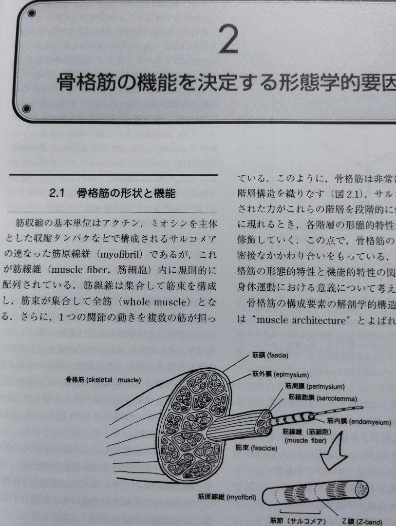筋の科学事典: 構造・機能・運動 大型本