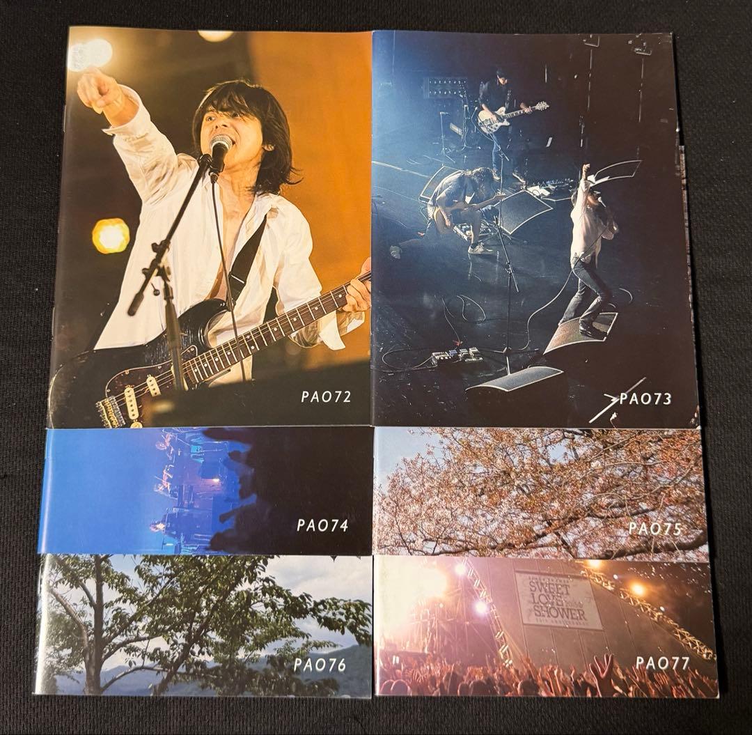 エレファントカシマシ PAO ファンクラブ 会報 vol.42-77 36冊