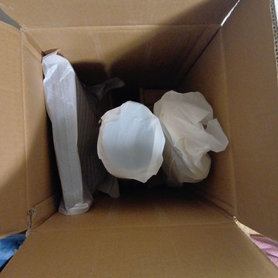 『新品未使用』mindooAquaX 水拭き掃除機 MIA-N001 CRM
