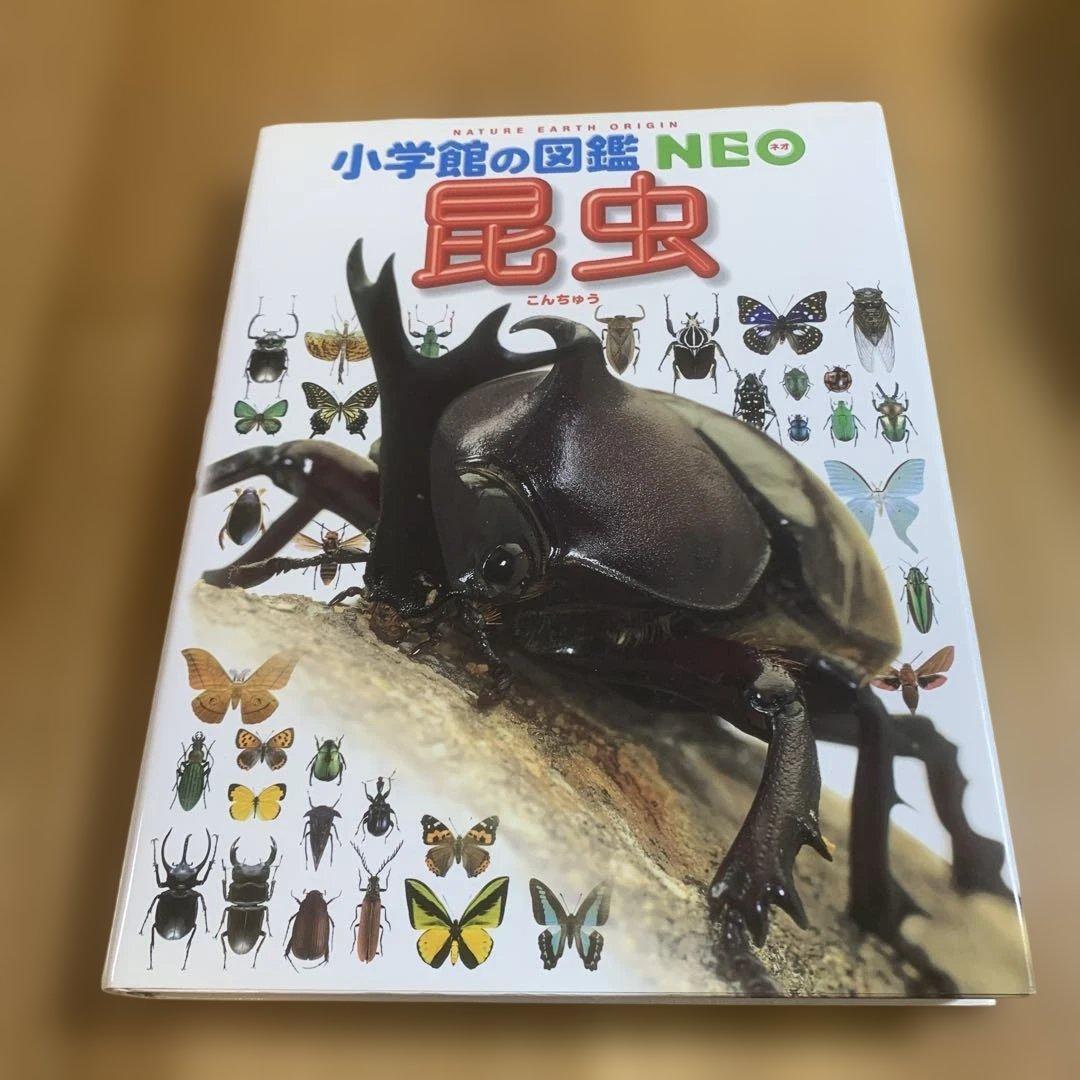 小学館の図鑑NEO 6冊セット