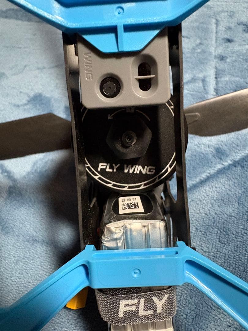 FLY WING FW200 ホビーラジコンヘリコプター