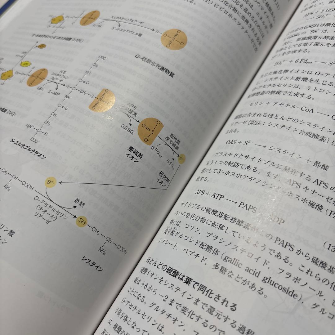 テイツ/ザイガー 植物生理学・発生学 原著第6版