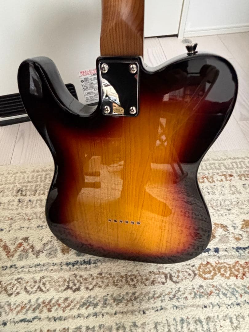 Bacchus バッカステレキャスターBTE-2RSM/M 3TS ソフトケース