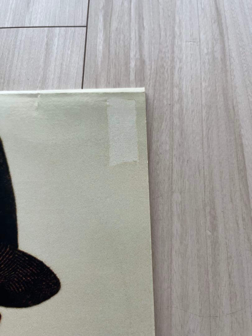 洋楽 Aceyalone Accepted Eclectic LP