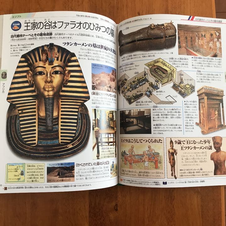 小学館  PAL・21世紀こども百科シリーズ　5冊セット