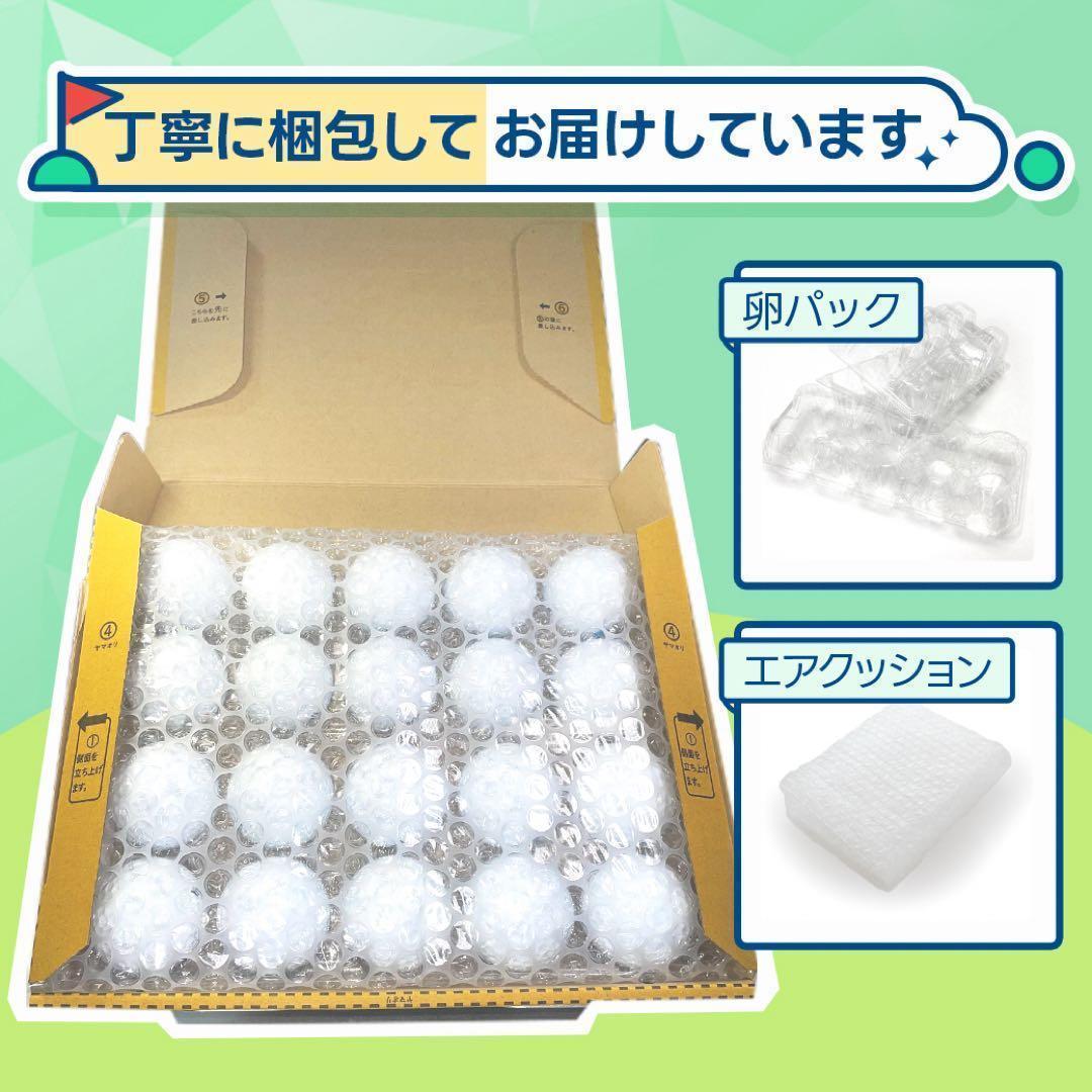ロストボール タイトリスト PRO V1 20球 Sランク 50 おまけtee付