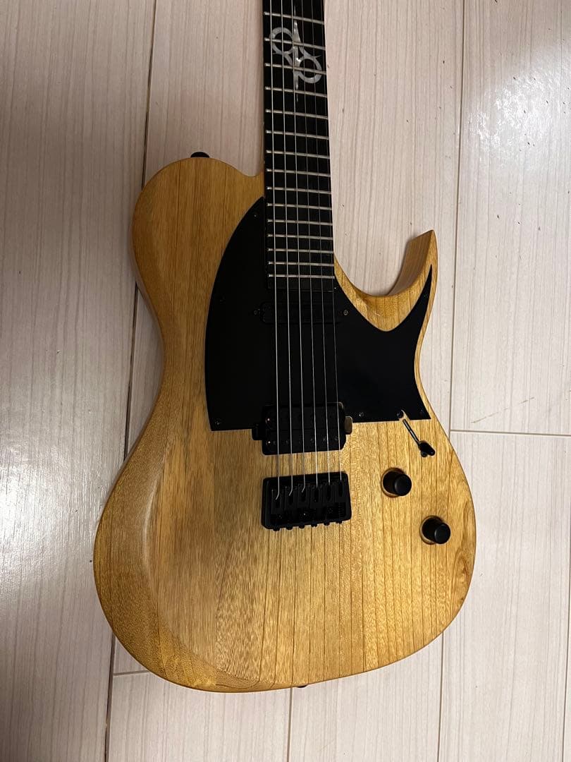 さ*く様 【最終価格】SOLAR GUITARS ソーラーギターズ T2.6