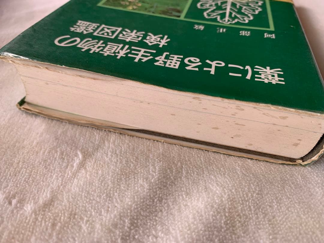 葉による野生植物の検索図鑑 阿部 正敏　誠文堂新光社