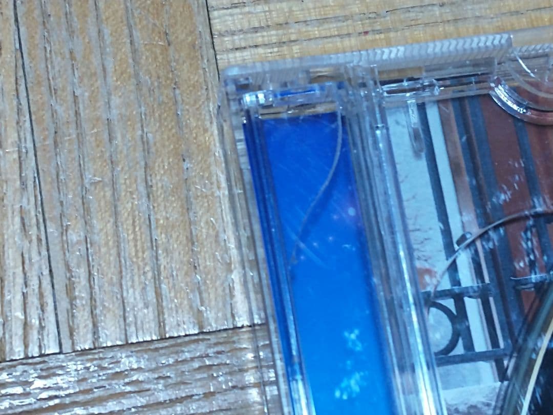 瑠川リナ ダンシング・ヒーロー 六本木純情派 CD+DVD