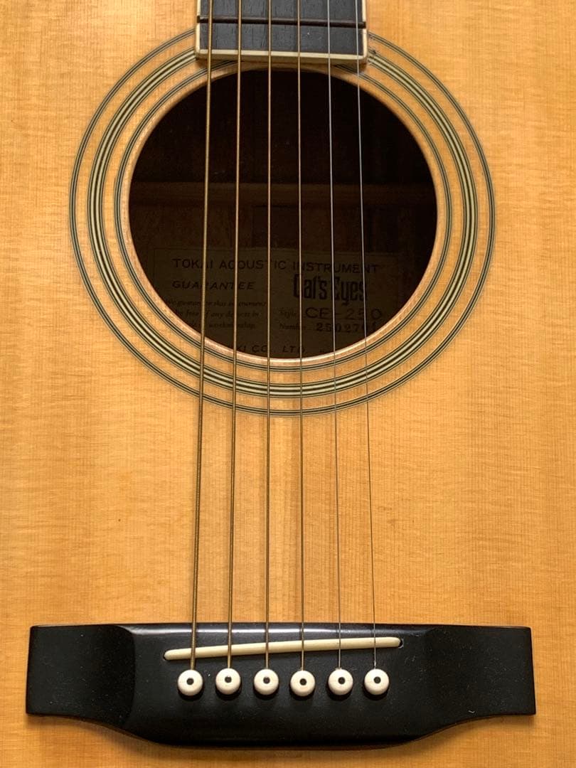 キャッツアイ　アコースティックギター　CE-250 M70606-2