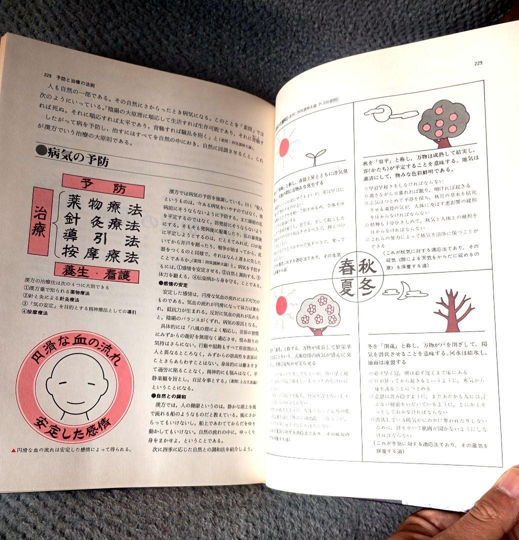 図説 東洋医学　山田光胤/代田文彦/はやし浩司