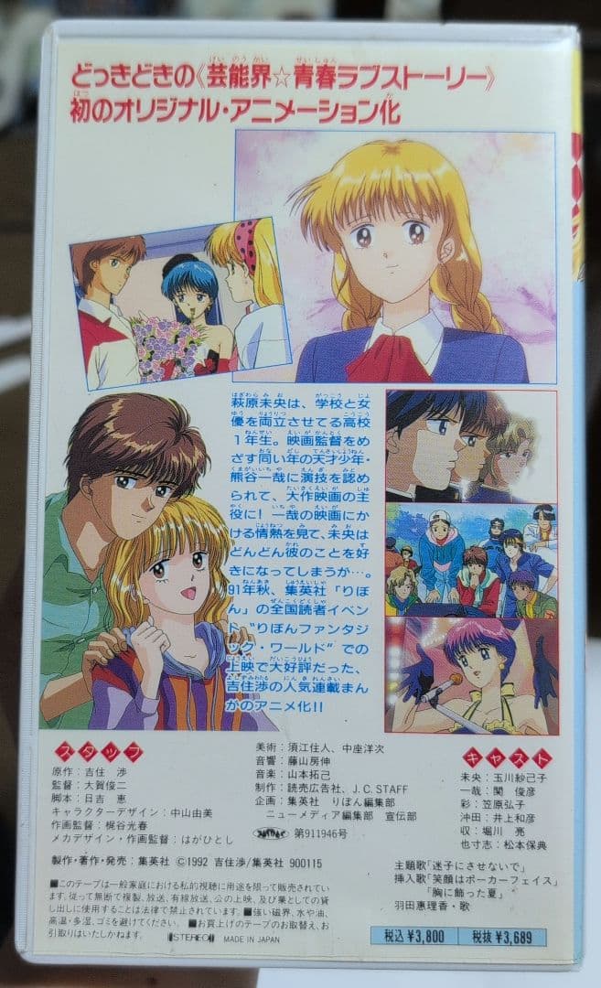 ハンサムな彼女 VHS