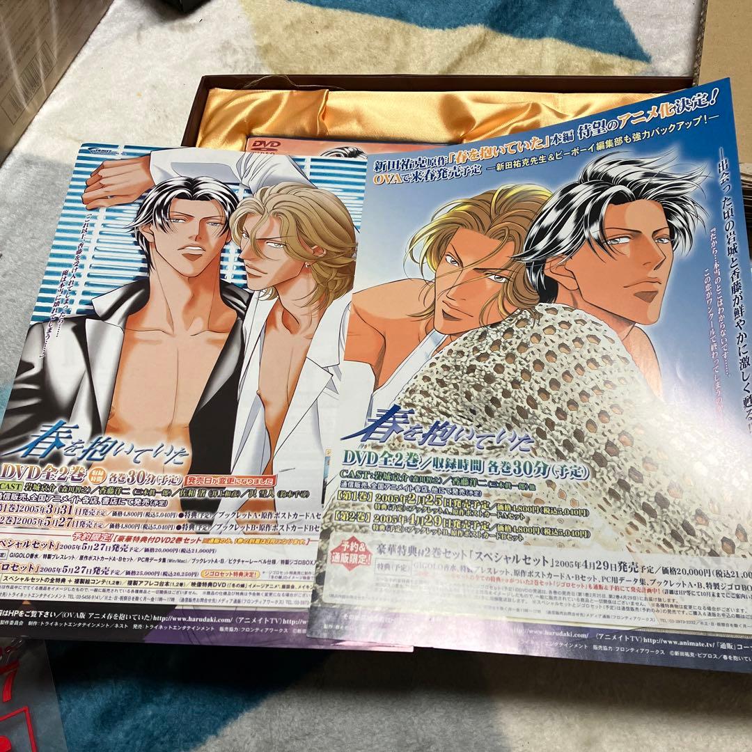 【最終値下】春を抱いていた　GIGOLO 限定版セット　DVD
