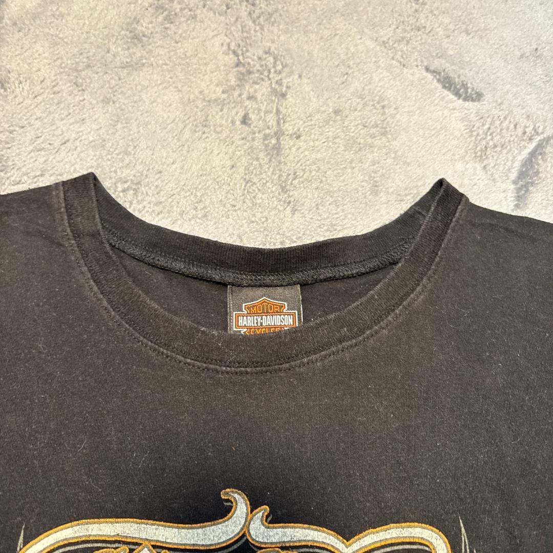 HARLEY-DAVIDSON　2014年製　ノースリーブ　L 大地