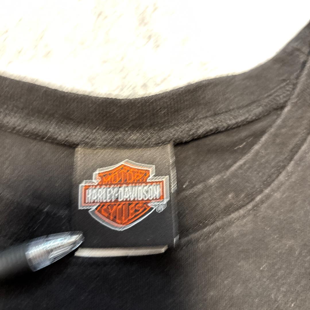 HARLEY-DAVIDSON　2014年製　ノースリーブ　L 大地