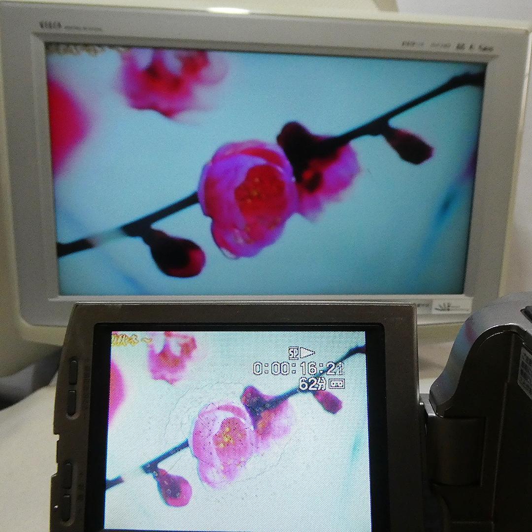 ソニー DCR-TRV7 【動作良好】MiniDV ビデオカメラ　ダビングに最適