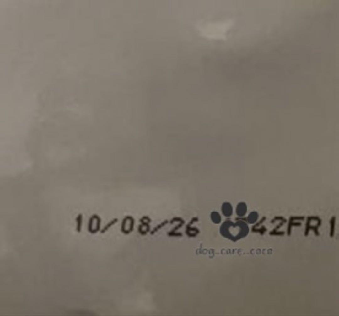  CANIN ゴールデンレトリバー 24kg ロイヤルカナン