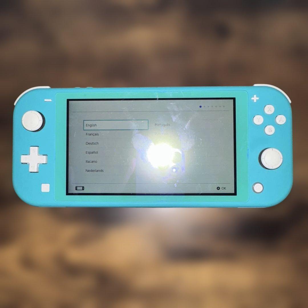 Nintendo Switch Lite ターコイズ SDカード ケース付