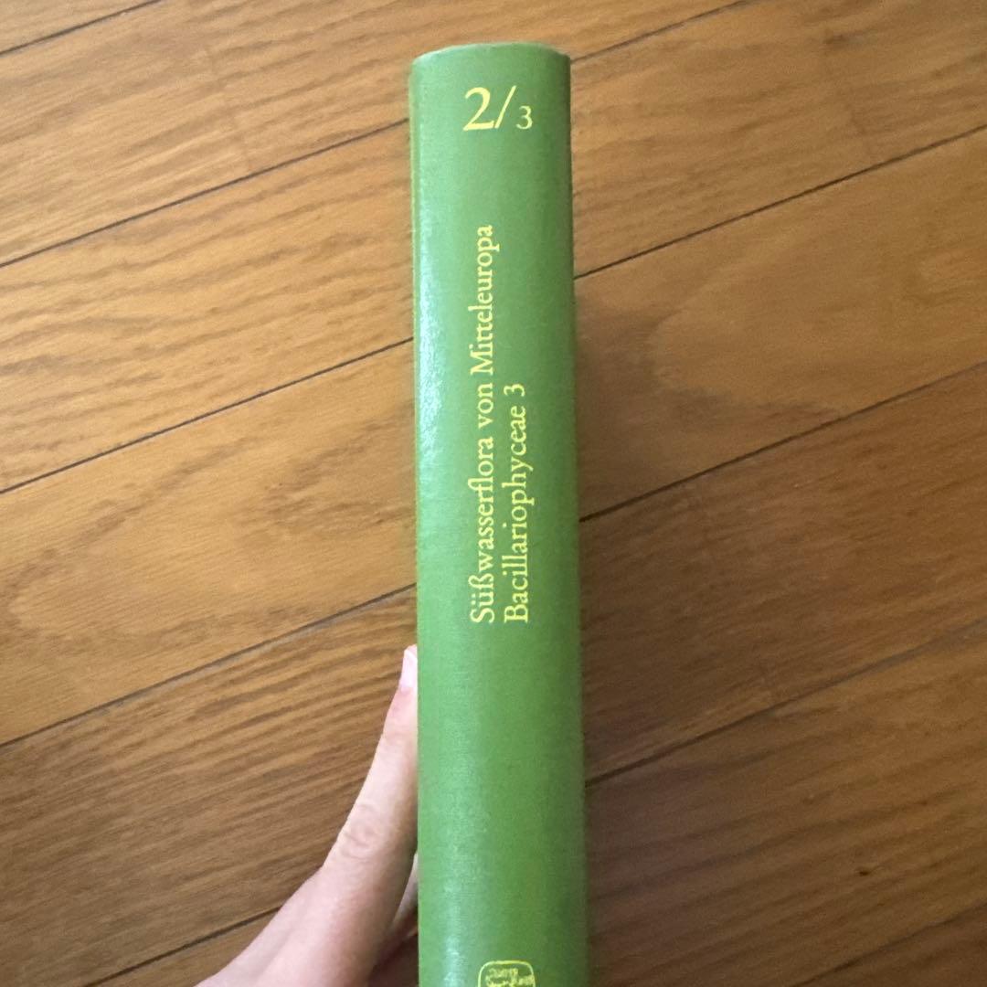 Süßwasserflora von Mitteleuropa 2/3