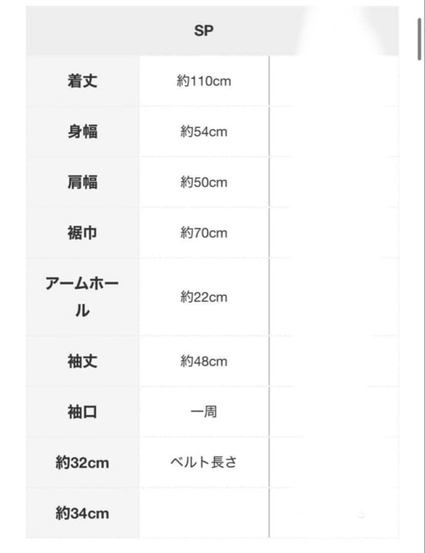 【3/28まで】basementonline リバーロングコート グレー　SP