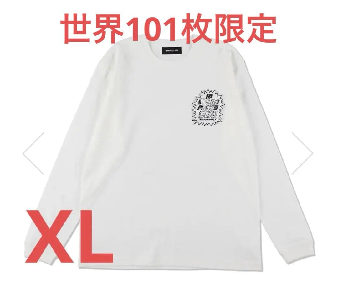 世界101枚限定　NIIMI HIROKI WDS ART ウィンダンシー　XL