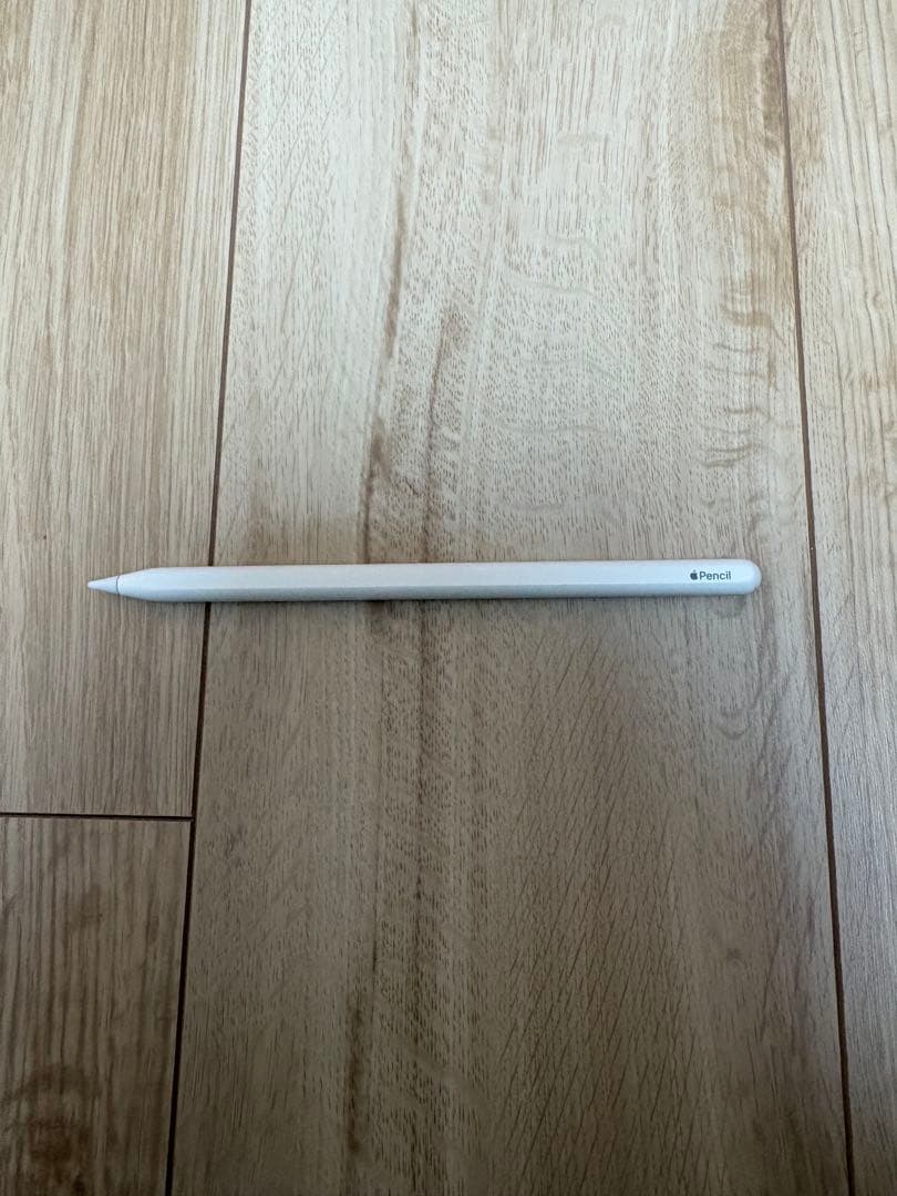 iPad Pro 11 第2世代 256GB apple pencil2 セット