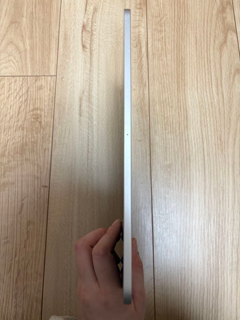 iPad Pro 11 第2世代 256GB apple pencil2 セット