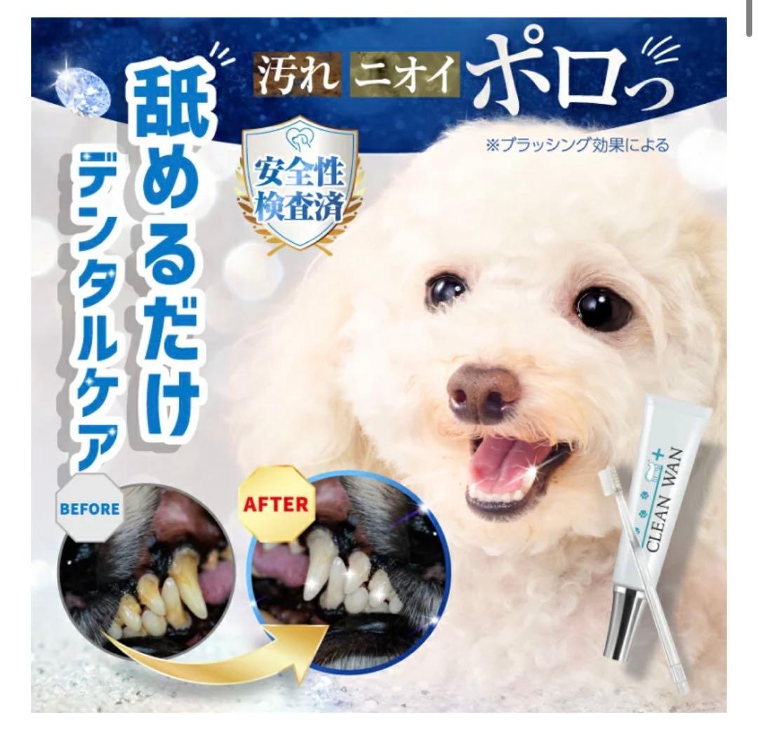 【CLEAN WAN × 2個】