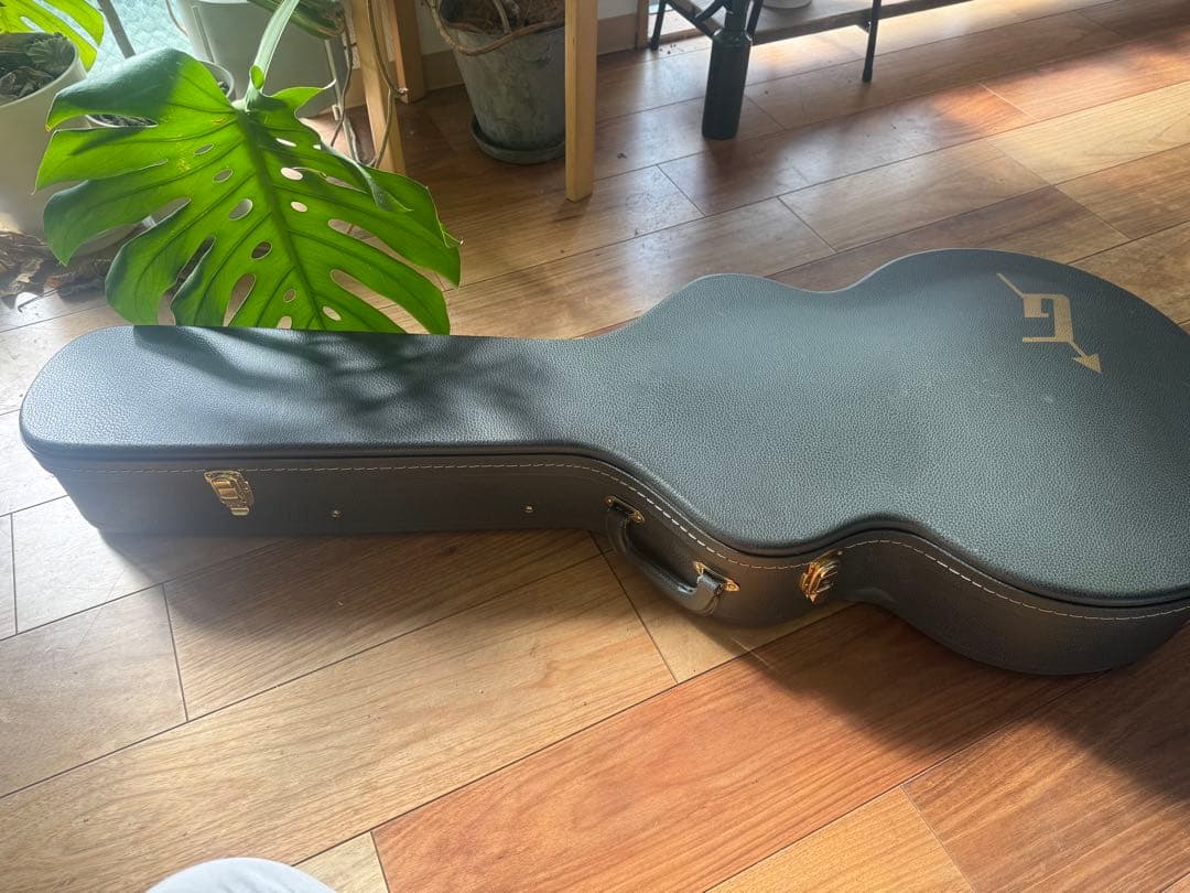 GRETSCH G6119-62HT 2010年製Tennessee Rose