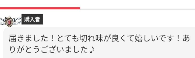 スパッと切れる理美容師プロ用セニングシザー10％人気の溝無しスキバサミルックス◎