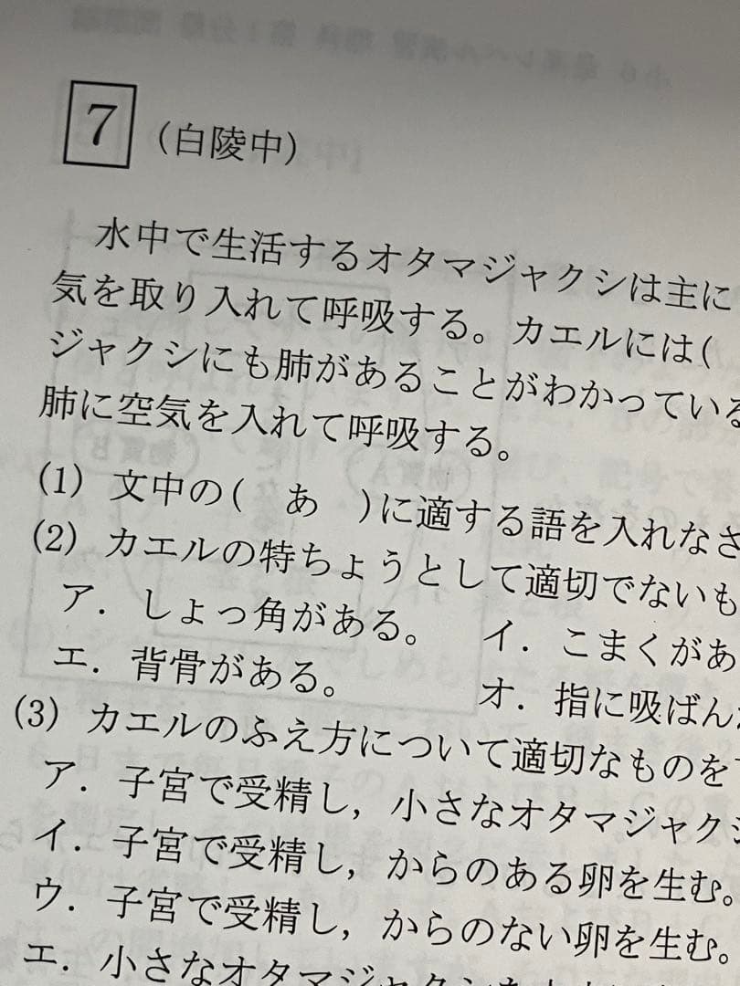 資格制講座　希学園小6最高レベル演習　難関中過去問改題豊富
