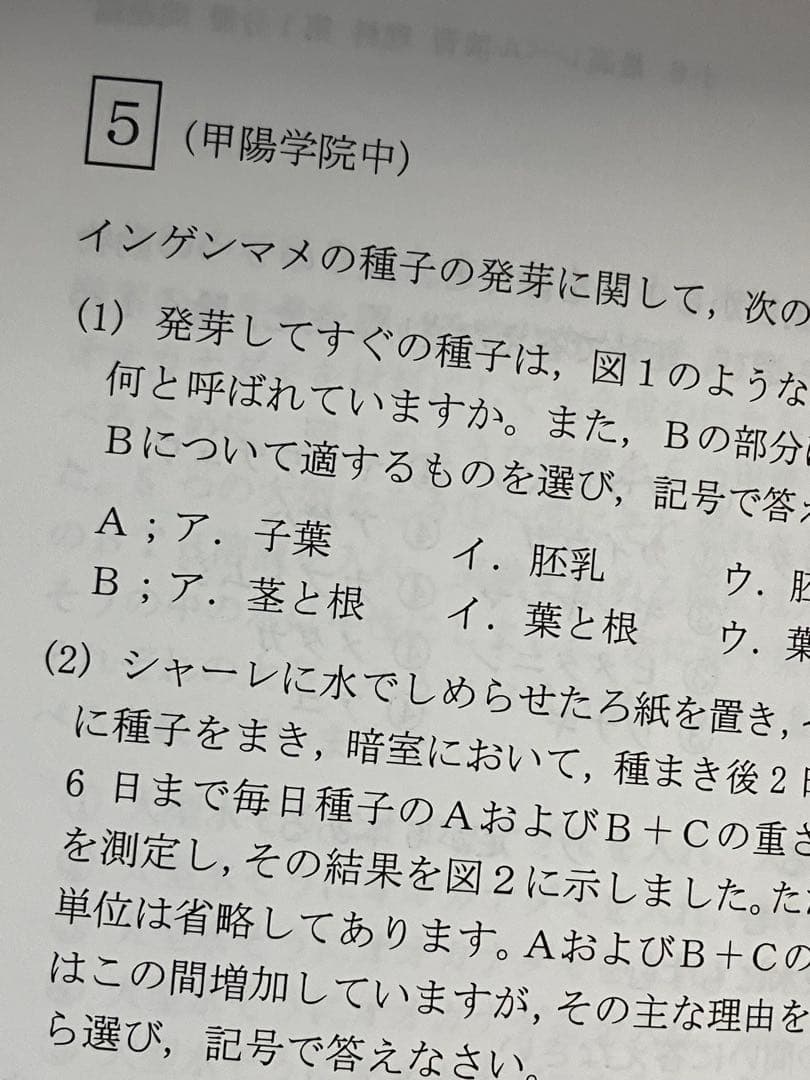 資格制講座　希学園小6最高レベル演習　難関中過去問改題豊富