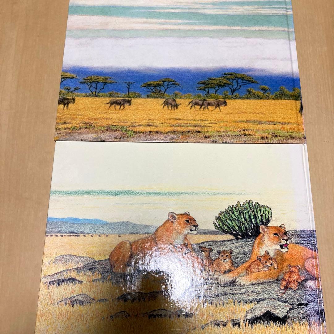絵本まとめ売り　吉田遠志作　動物絵本シリーズ　アフリカ　希少絵本　初版あり　美品