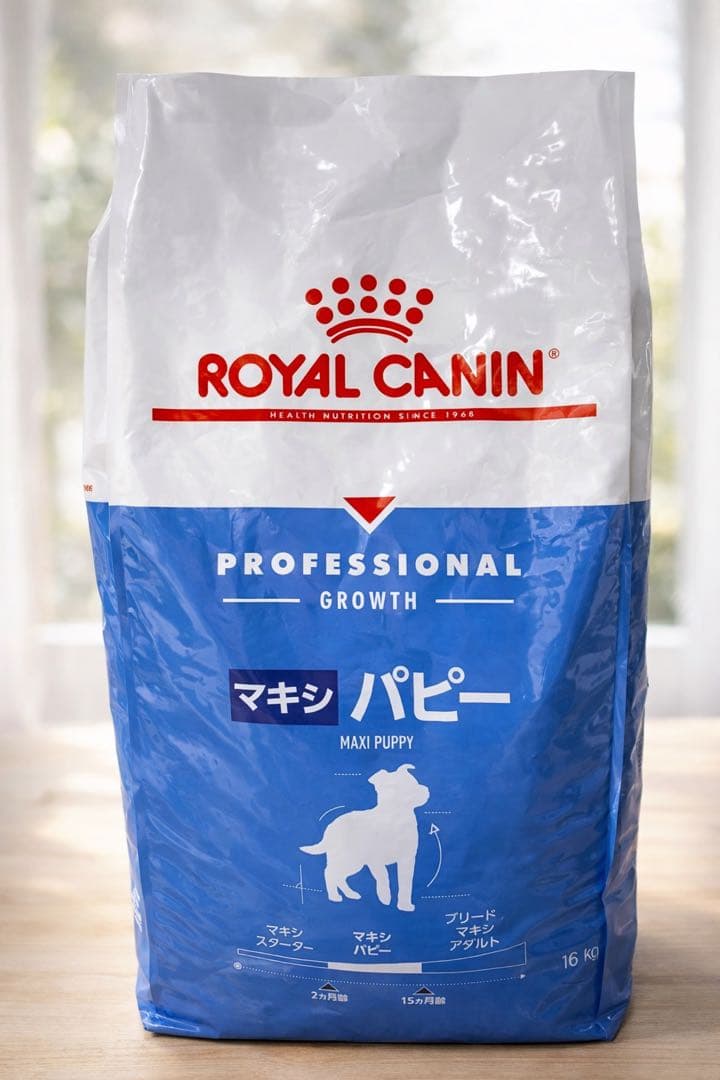 ばばばばーん②