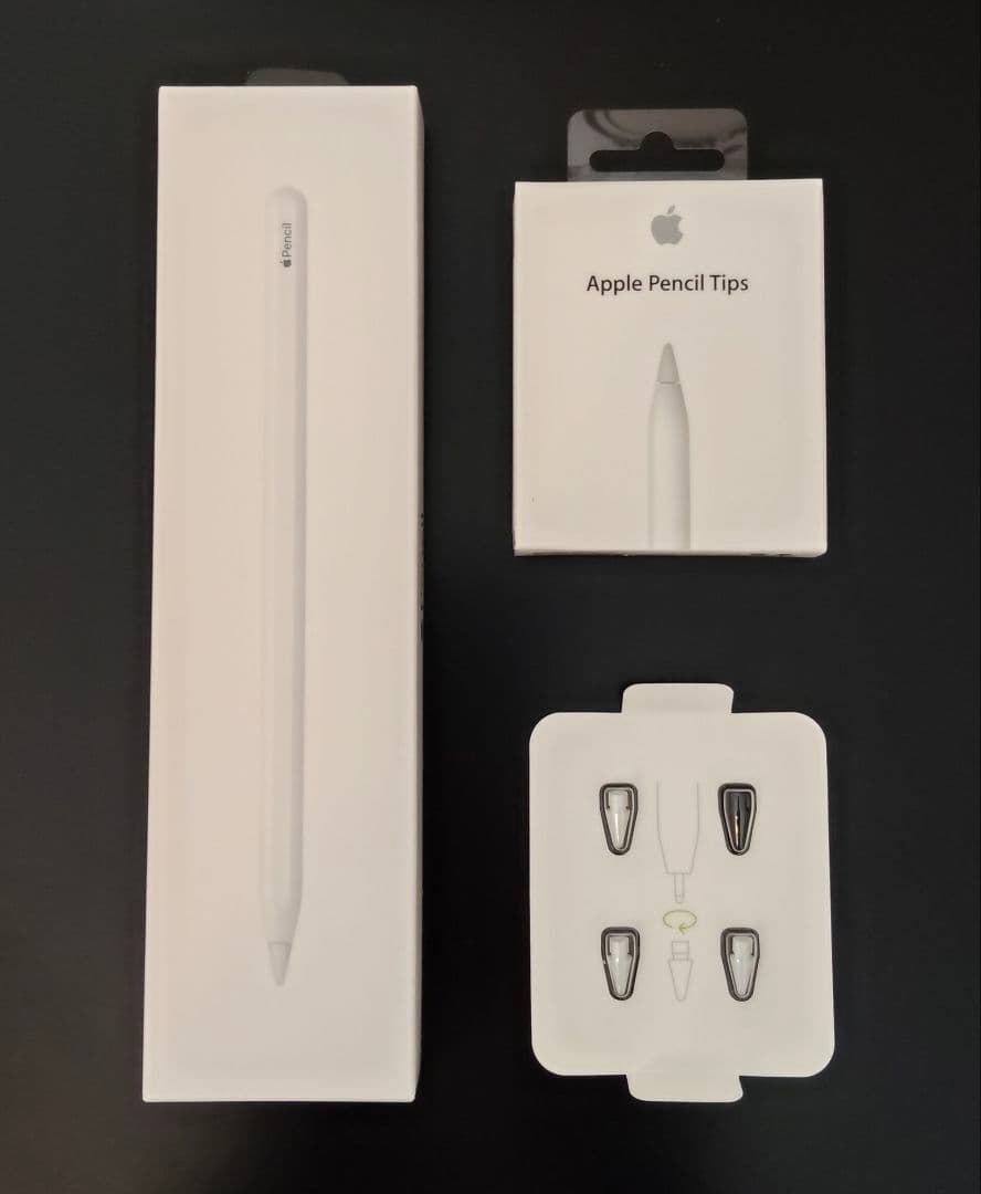 iPad Pro 12.9インチ Wi-Fi 1TB　スペースグレイ