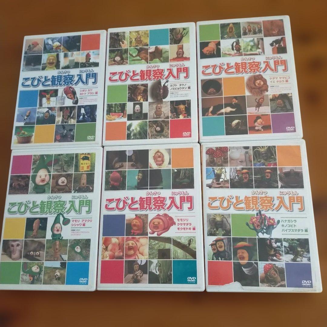 こびとづかん観察入門 DVD まとめ売り