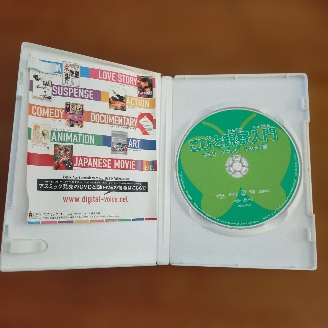こびとづかん観察入門 DVD まとめ売り