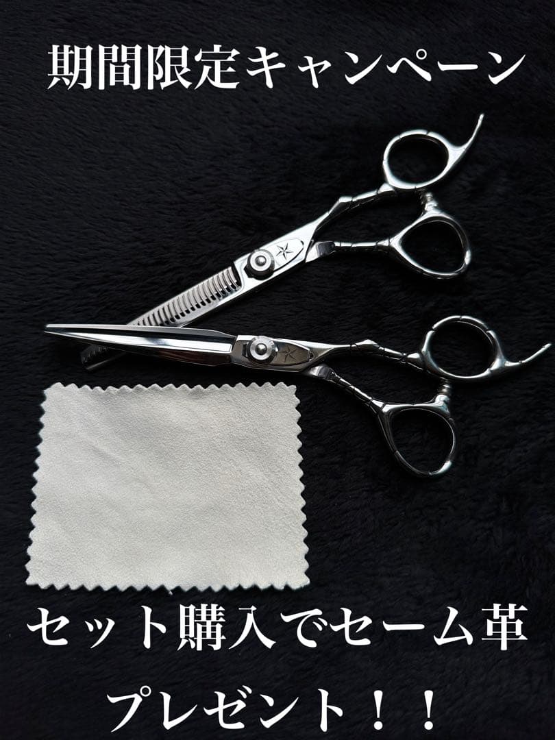 美容師 セット ミズタニ 武芸 ロイヤルマスター 光シザー トギノン ナルト