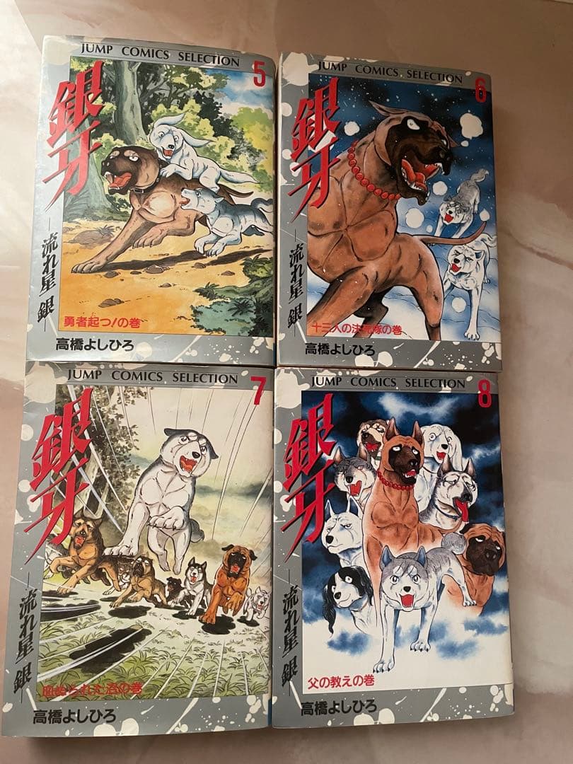 銀牙⭐︎流れ星銀　1〜10巻　ワイド版