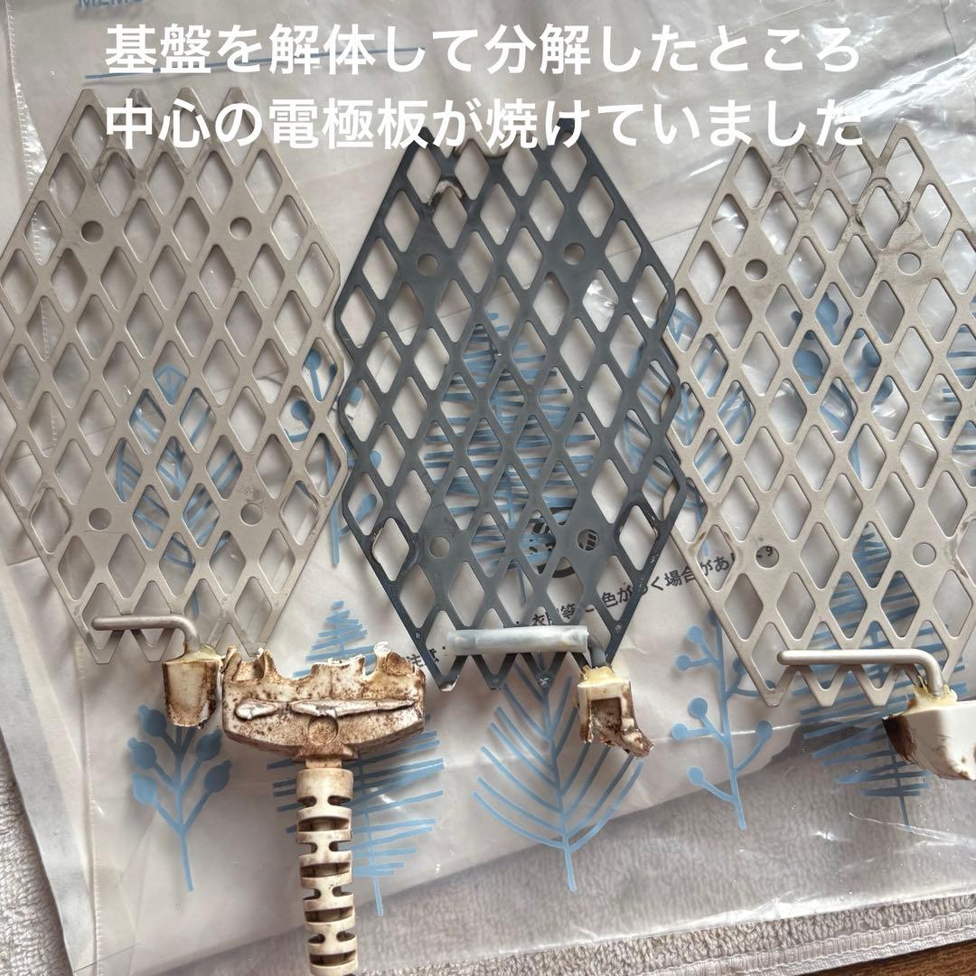 taSHA品